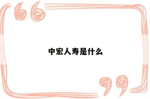 中宏人寿是什么