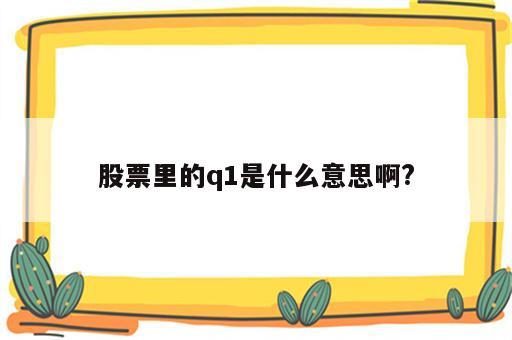 股票里的q1是什么意思啊?