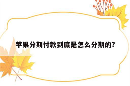 苹果分期付款到底是怎么分期的?