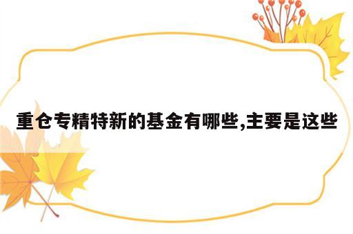 重仓专精特新的基金有哪些,主要是这些