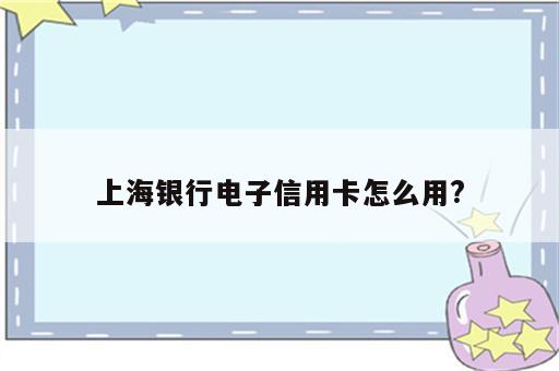 上海银行电子信用卡怎么用?