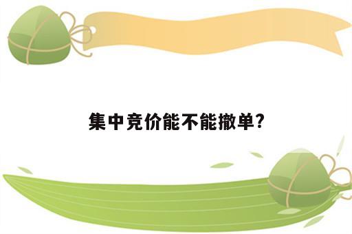 集中竞价能不能撤单?