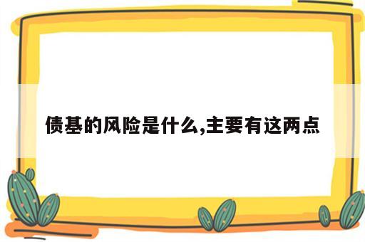 债基的风险是什么,主要有这两点