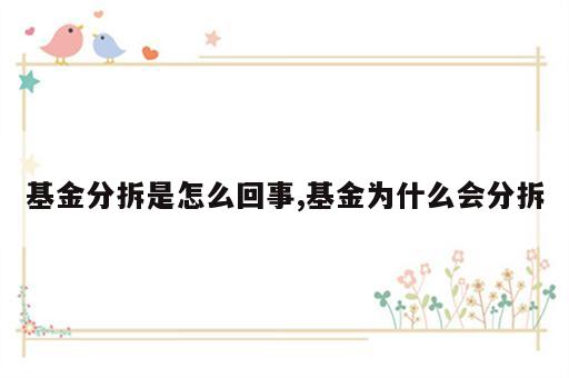 基金分拆是怎么回事,基金为什么会分拆
