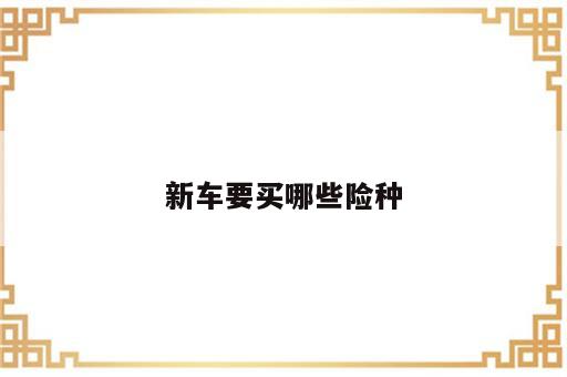 新车要买哪些险种