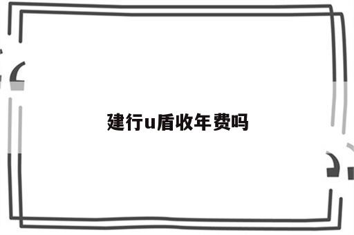建行u盾收年费吗