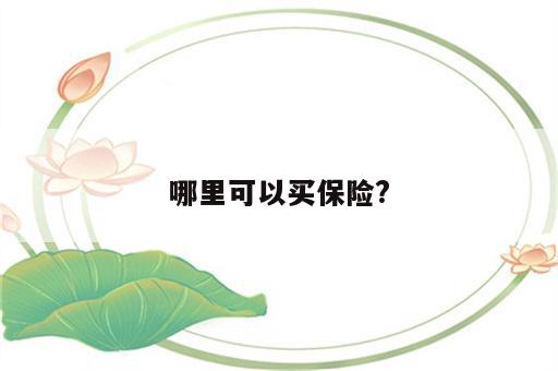哪里可以买保险?