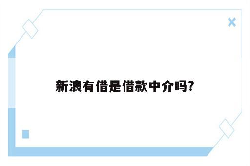 新浪有借是借款中介吗?