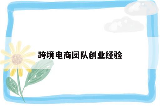跨境电商团队创业经验