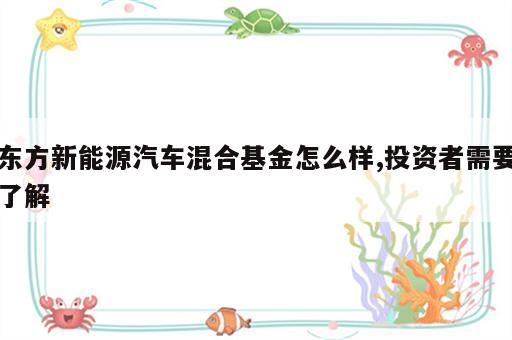 东方新能源汽车混合基金怎么样,投资者需要了解