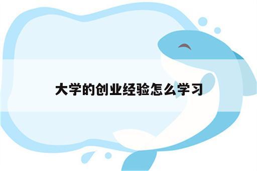 大学的创业经验怎么学习