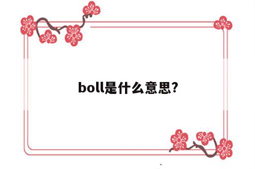 boll是什么意思?