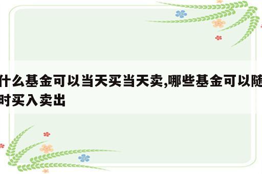 什么基金可以当天买当天卖,哪些基金可以随时买入卖出