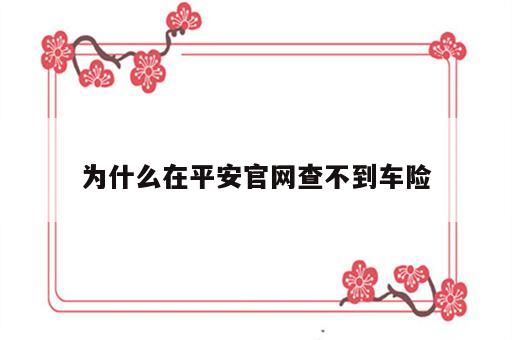 为什么在平安官网查不到车险