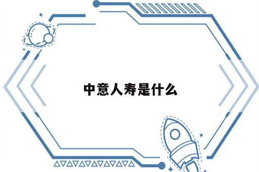 中意人寿是什么