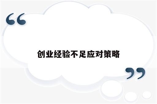 创业经验不足应对策略