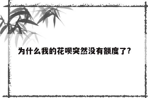 为什么我的花呗突然没有额度了?