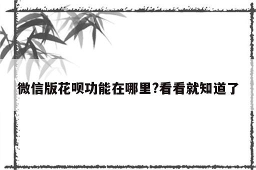 微信版花呗功能在哪里?看看就知道了
