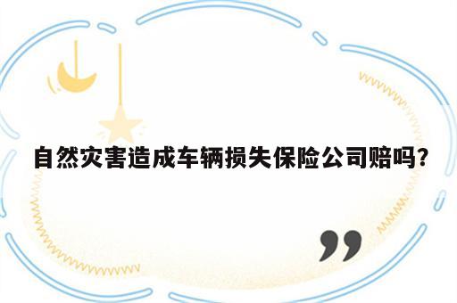 自然灾害造成车辆损失保险公司赔吗？