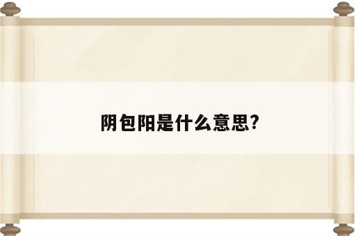 阴包阳是什么意思?