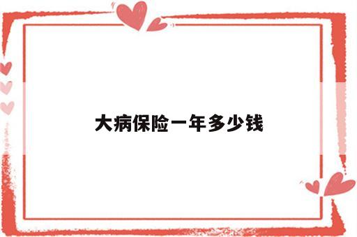 大病保险一年多少钱