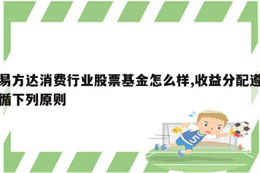 易方达消费行业股票基金怎么样,收益分配遵循下列原则