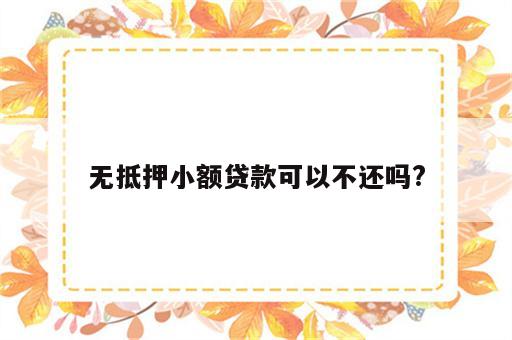 无抵押小额贷款可以不还吗?