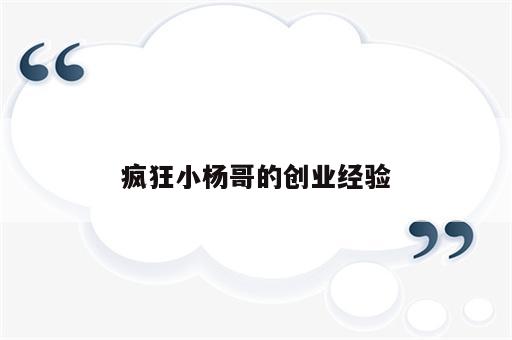 疯狂小杨哥的创业经验