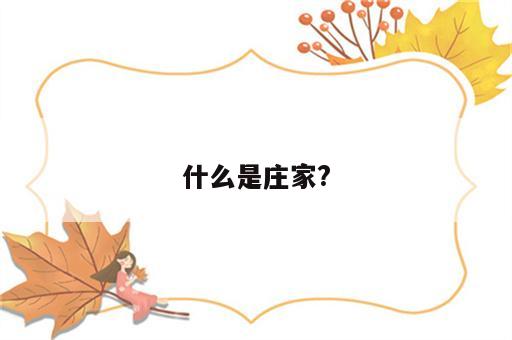 什么是庄家?