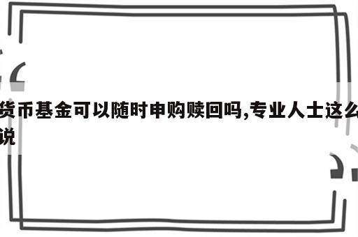 货币基金可以随时申购赎回吗,专业人士这么说