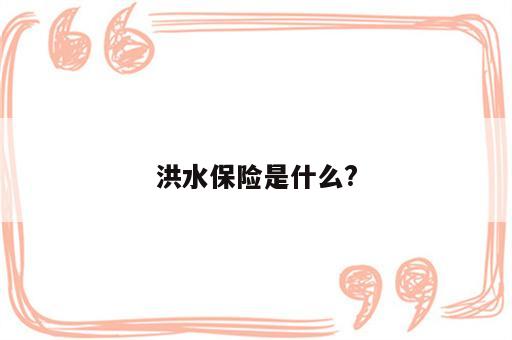 洪水保险是什么?