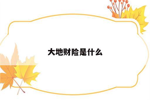 大地财险是什么