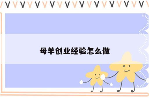 母羊创业经验怎么做