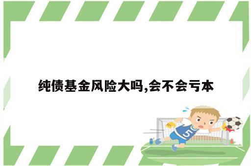 纯债基金风险大吗,会不会亏本