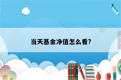 当天基金净值怎么看?