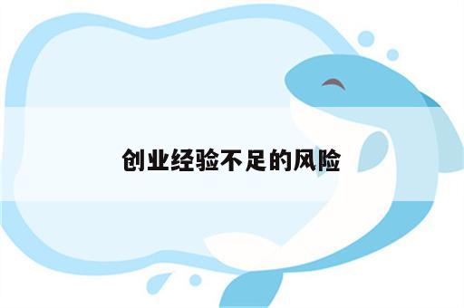 创业经验不足的风险