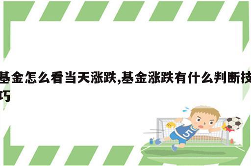 基金怎么看当天涨跌,基金涨跌有什么判断技巧