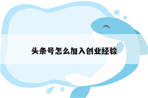 头条号怎么加入创业经验