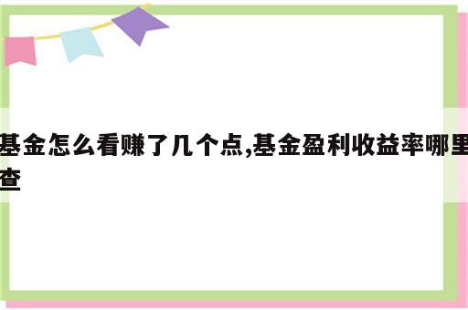 基金怎么看赚了几个点,基金盈利收益率哪里查