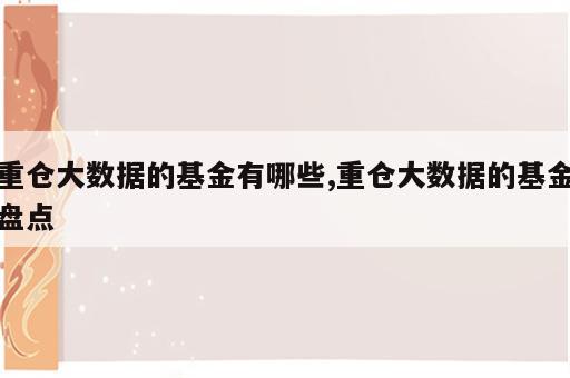 重仓大数据的基金有哪些,重仓大数据的基金盘点