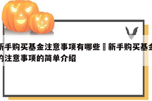 新手购买基金注意事项有哪些 新手购买基金的注意事项的简单介绍