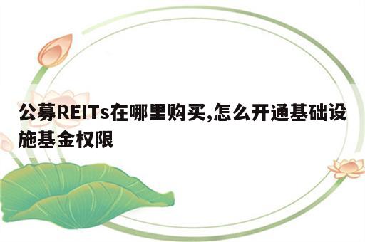 公募REITs在哪里购买,怎么开通基础设施基金权限