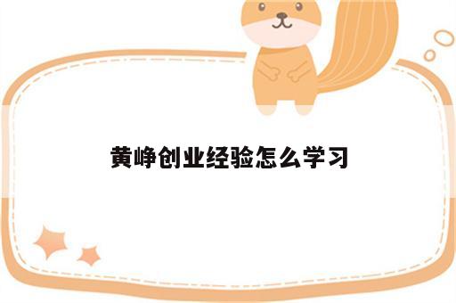 黄峥创业经验怎么学习