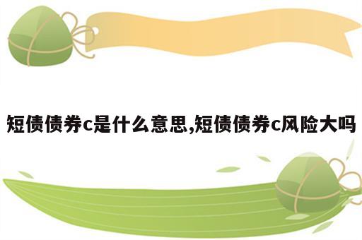 短债债券c是什么意思,短债债券c风险大吗