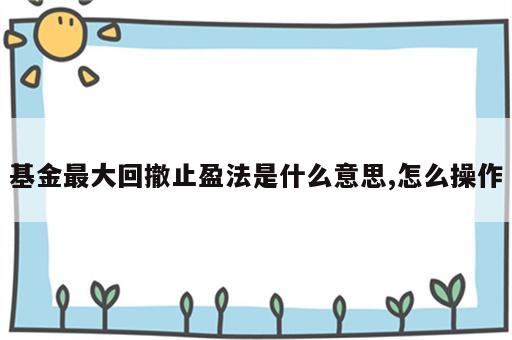 基金最大回撤止盈法是什么意思,怎么操作