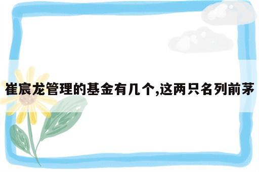 崔宸龙管理的基金有几个,这两只名列前茅