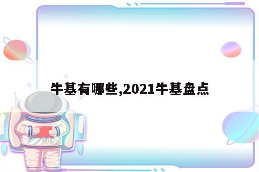 牛基有哪些,2021牛基盘点