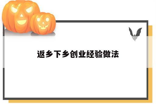 返乡下乡创业经验做法
