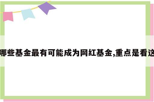 哪些基金最有可能成为网红基金,重点是看这
