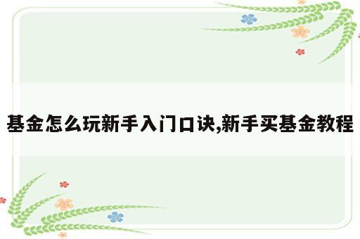 基金怎么玩新手入门口诀,新手买基金教程